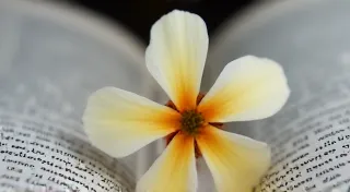 The Fragility of Moments: Ethics of View-Master Reel Restoration